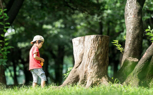 キャンプ場で子供と何して遊ぶ？キャンプで子供が喜ぶ遊びまとめ